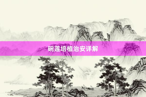 碗莲培植治安详解
