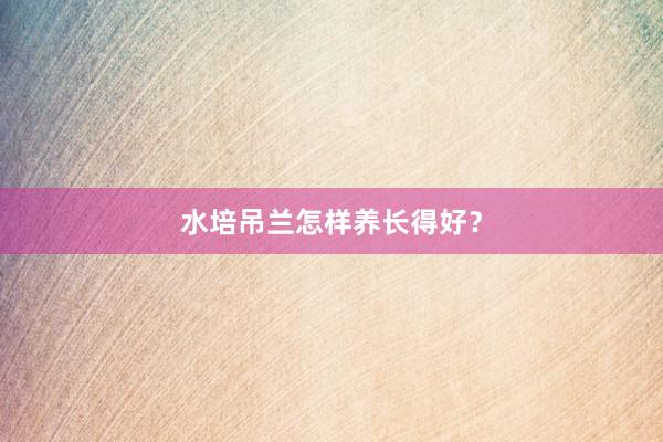水培吊兰怎样养长得好？