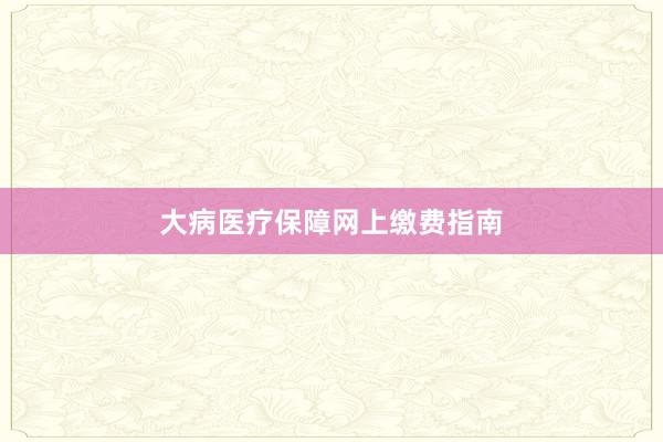 大病医疗保障网上缴费指南