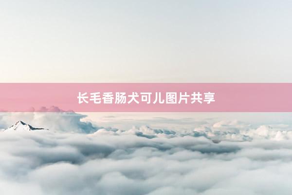 长毛香肠犬可儿图片共享